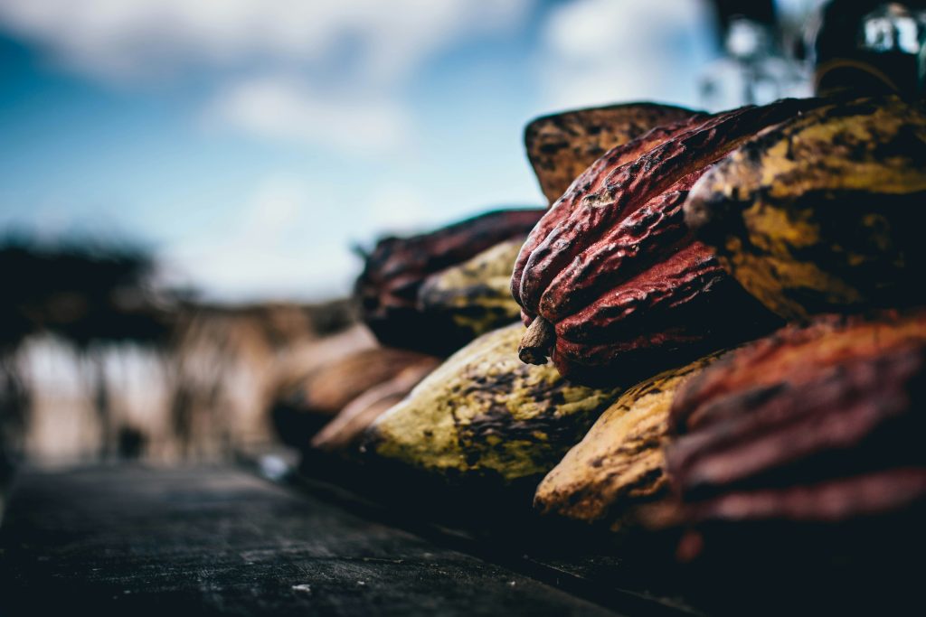 cacao sacré Bourgoin